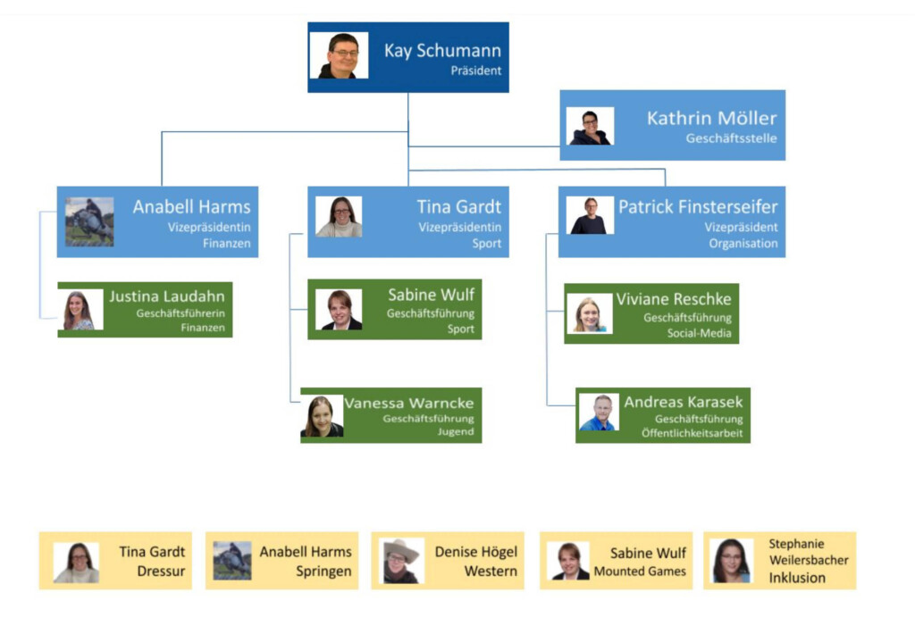 Organigramm der Verbandsstruktur des DtHHV