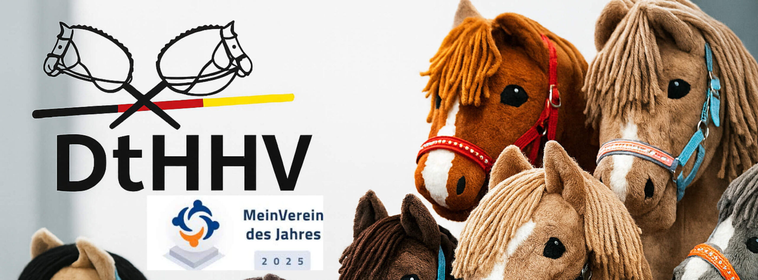 meinVerein des Jahres 2025 - Slider Foto