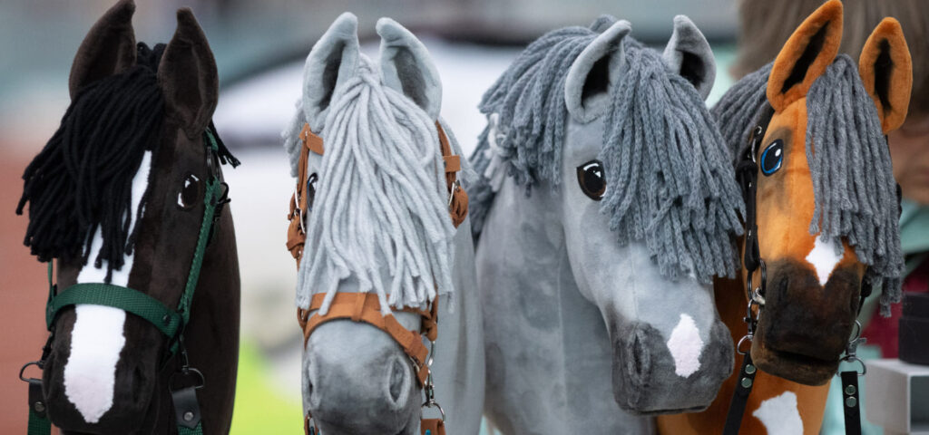 Deutscher Hobby Horsing Verband